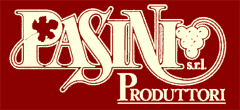 logo pasini